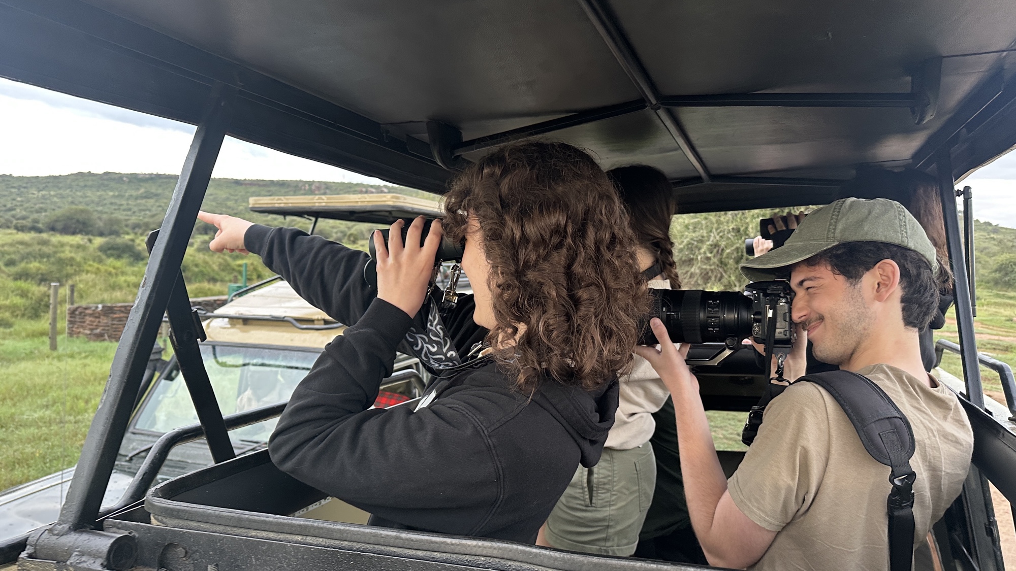 Looking for wildlife