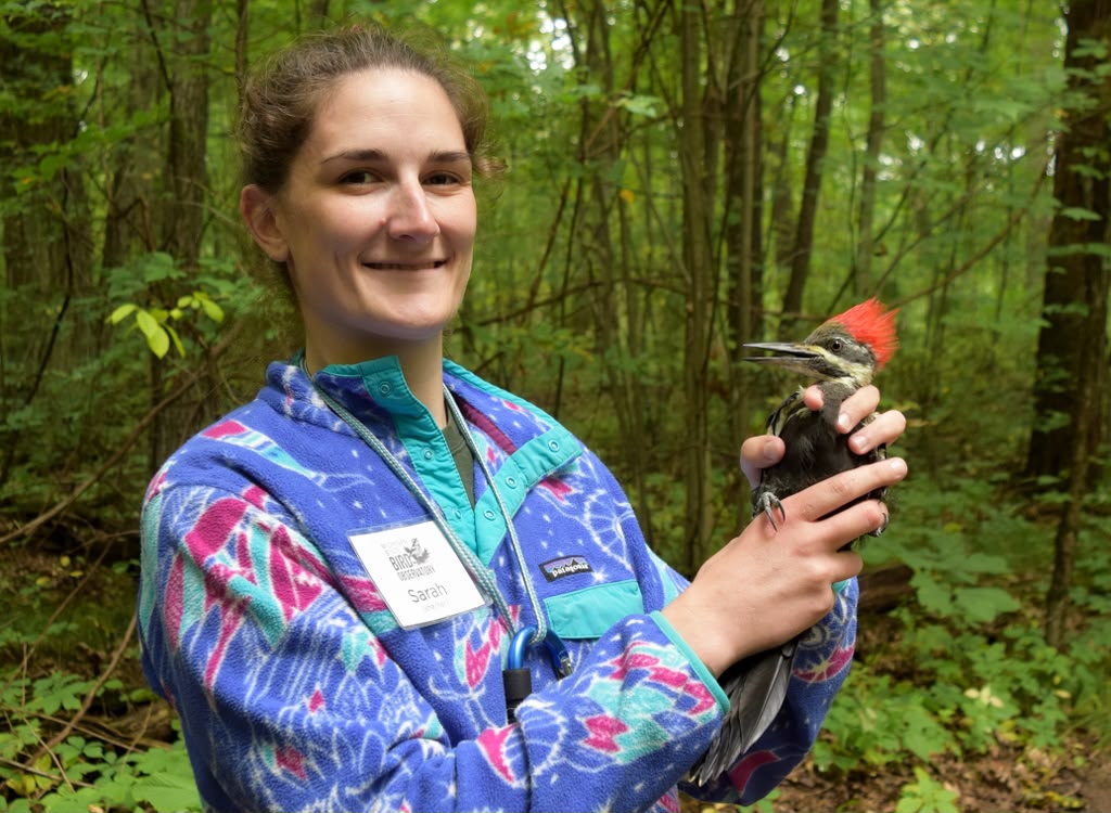 Instructor holding a bird