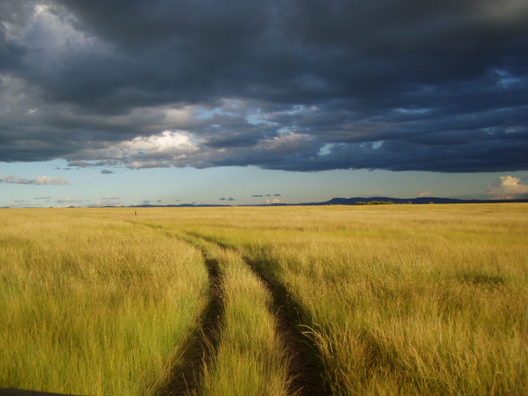 The Maasai Mara landscape