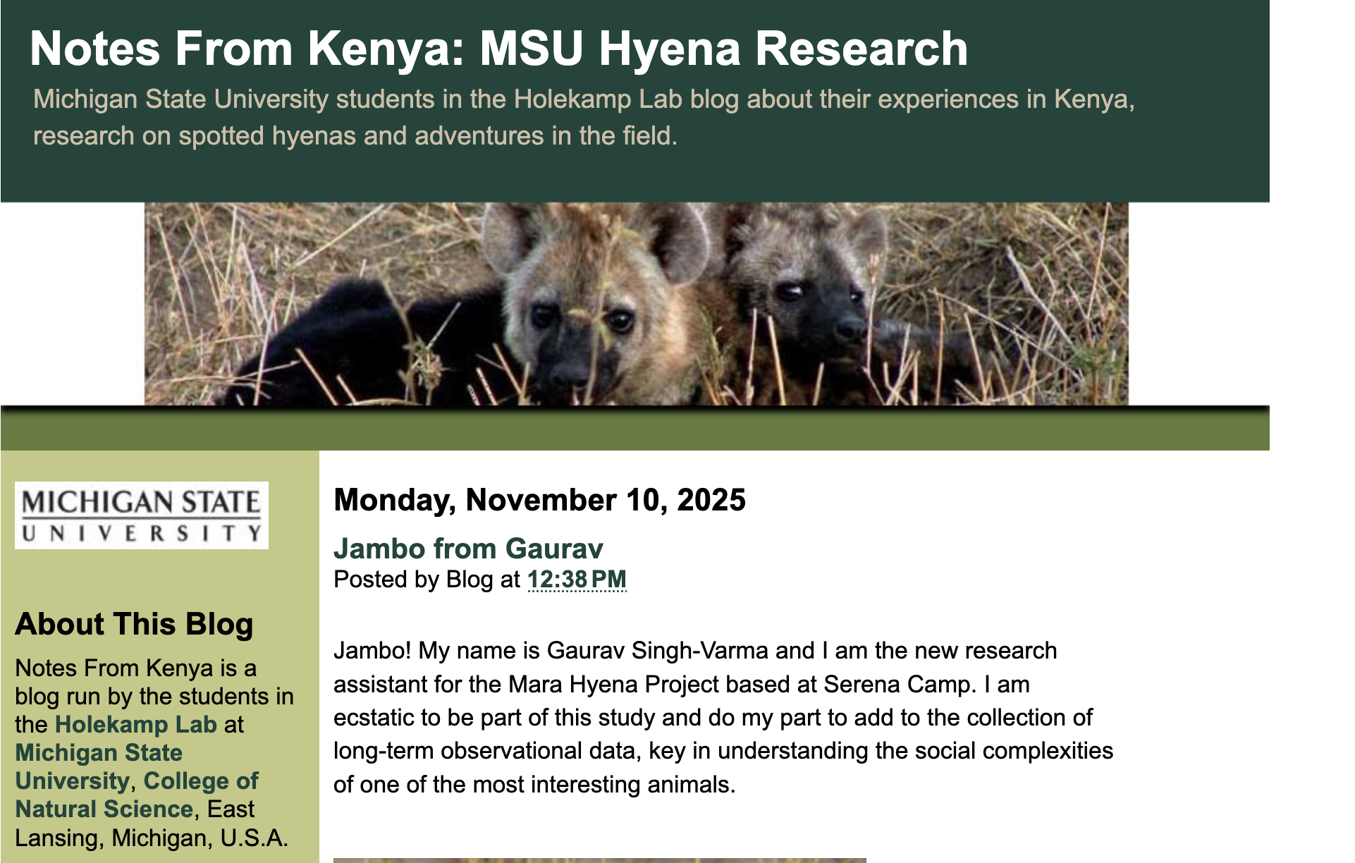 The MSU Hyenas Blogspot