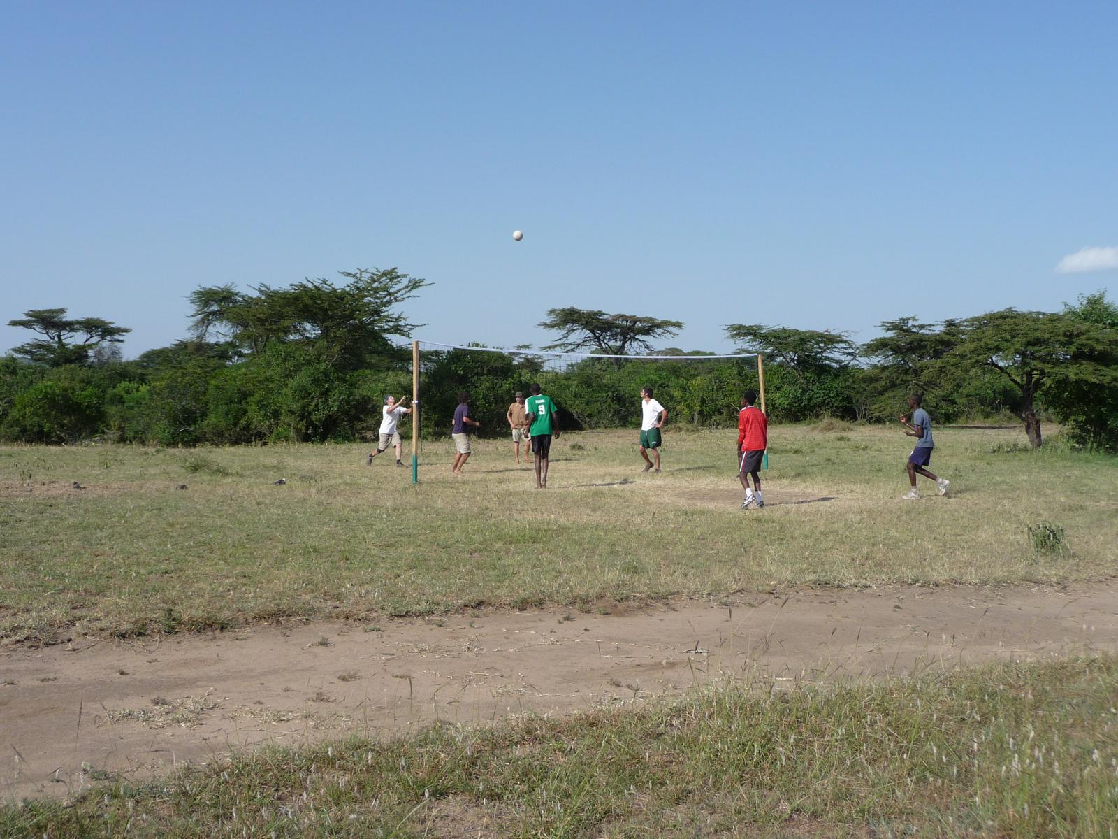 Team members playing volleyball