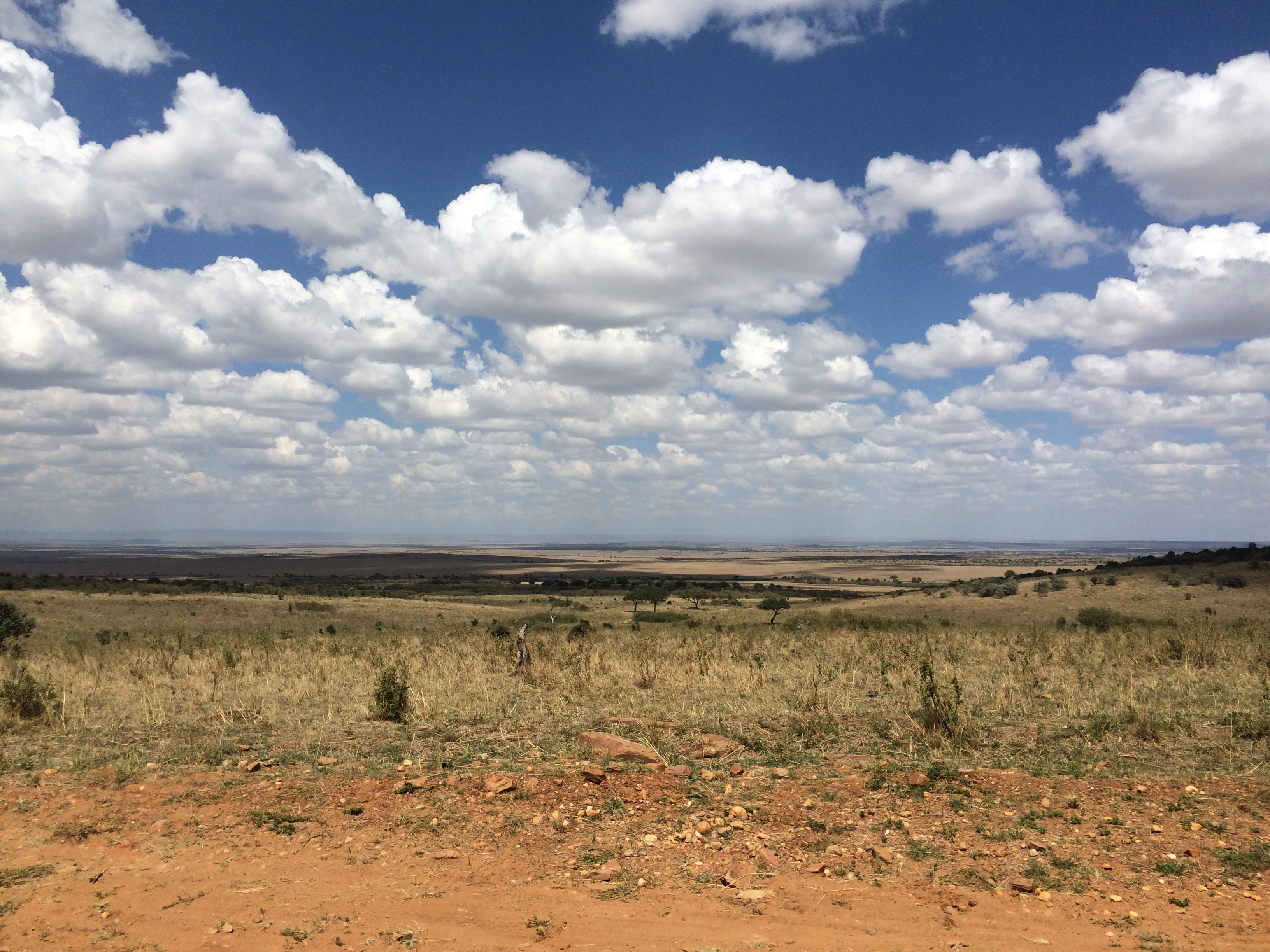 The Maasai Mara