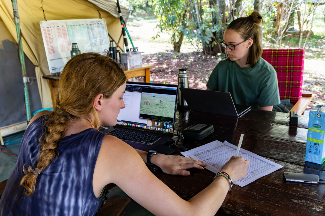 Field sample collection and data entry