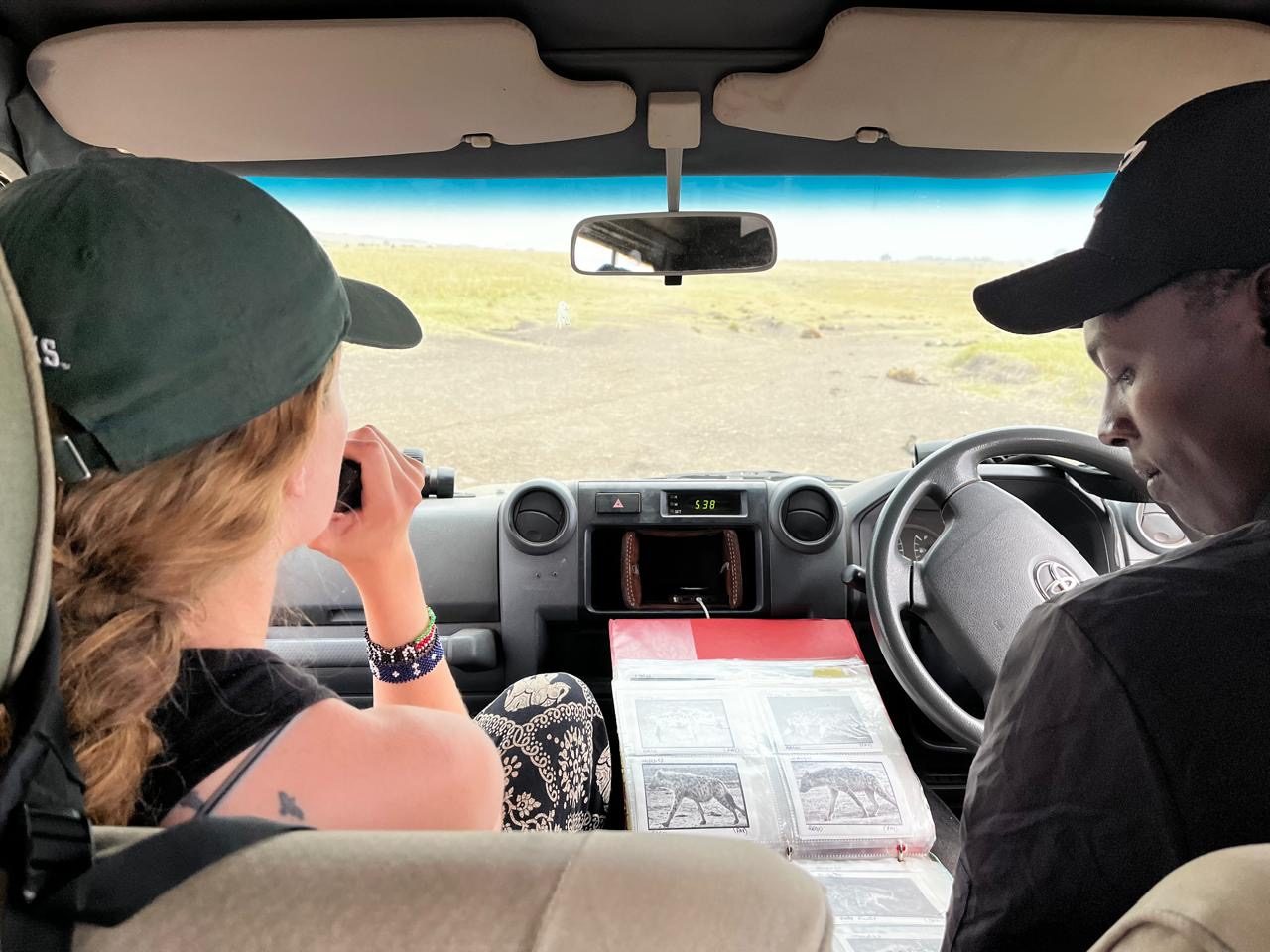 Research assistants identifying hyenas in the field