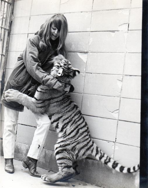 Dee White at the St. Louis Zoo