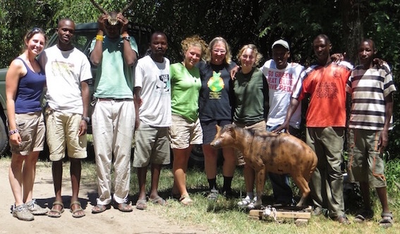 MHP Field Team