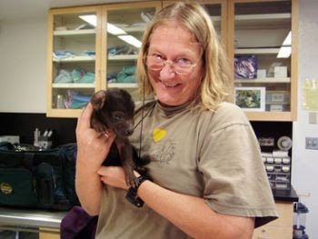 Dr. Kay Holekamp