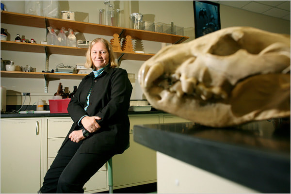 Dr. Kay Holekamp