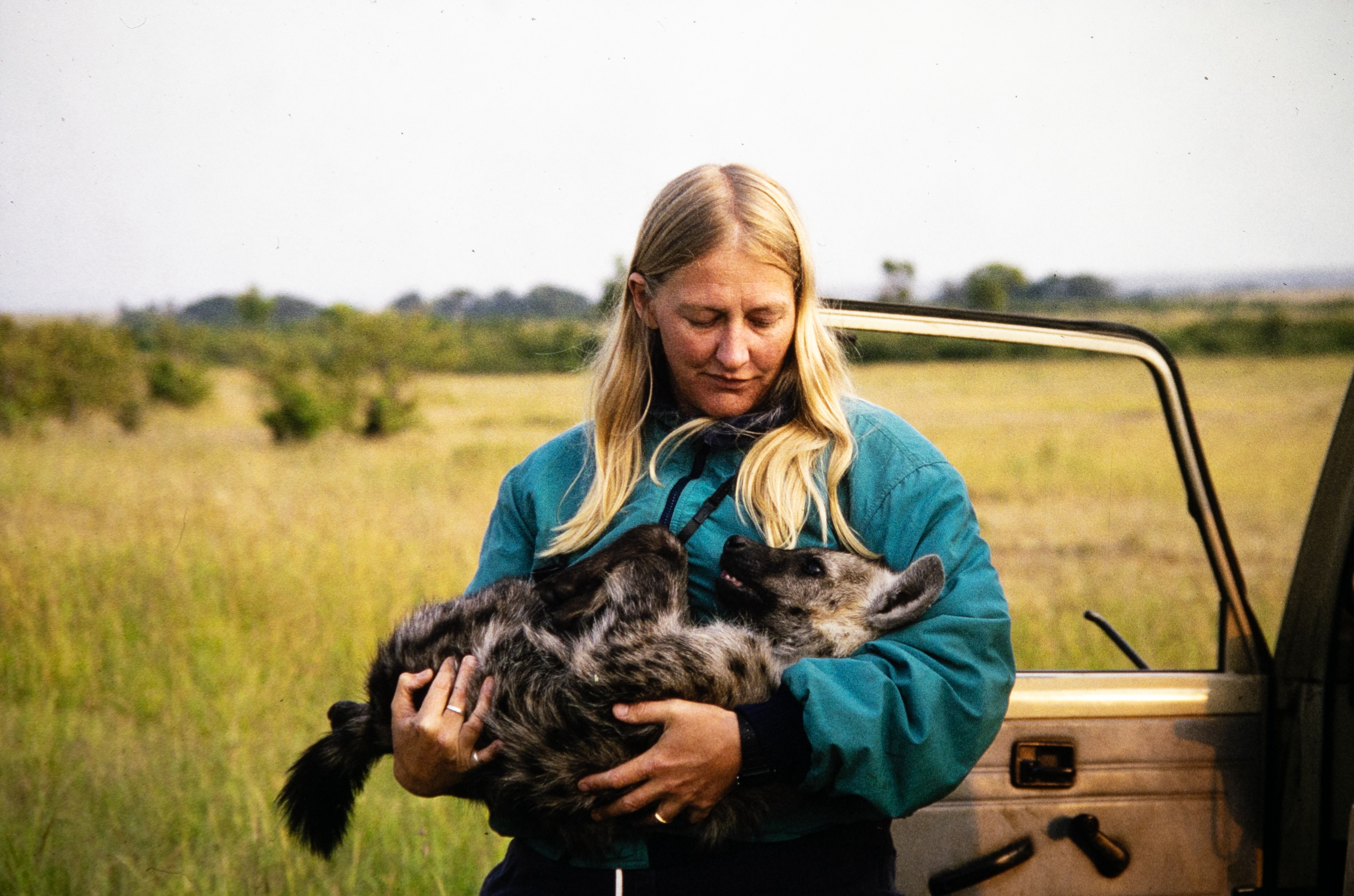 Dr. Kay Holekamp in the early field years